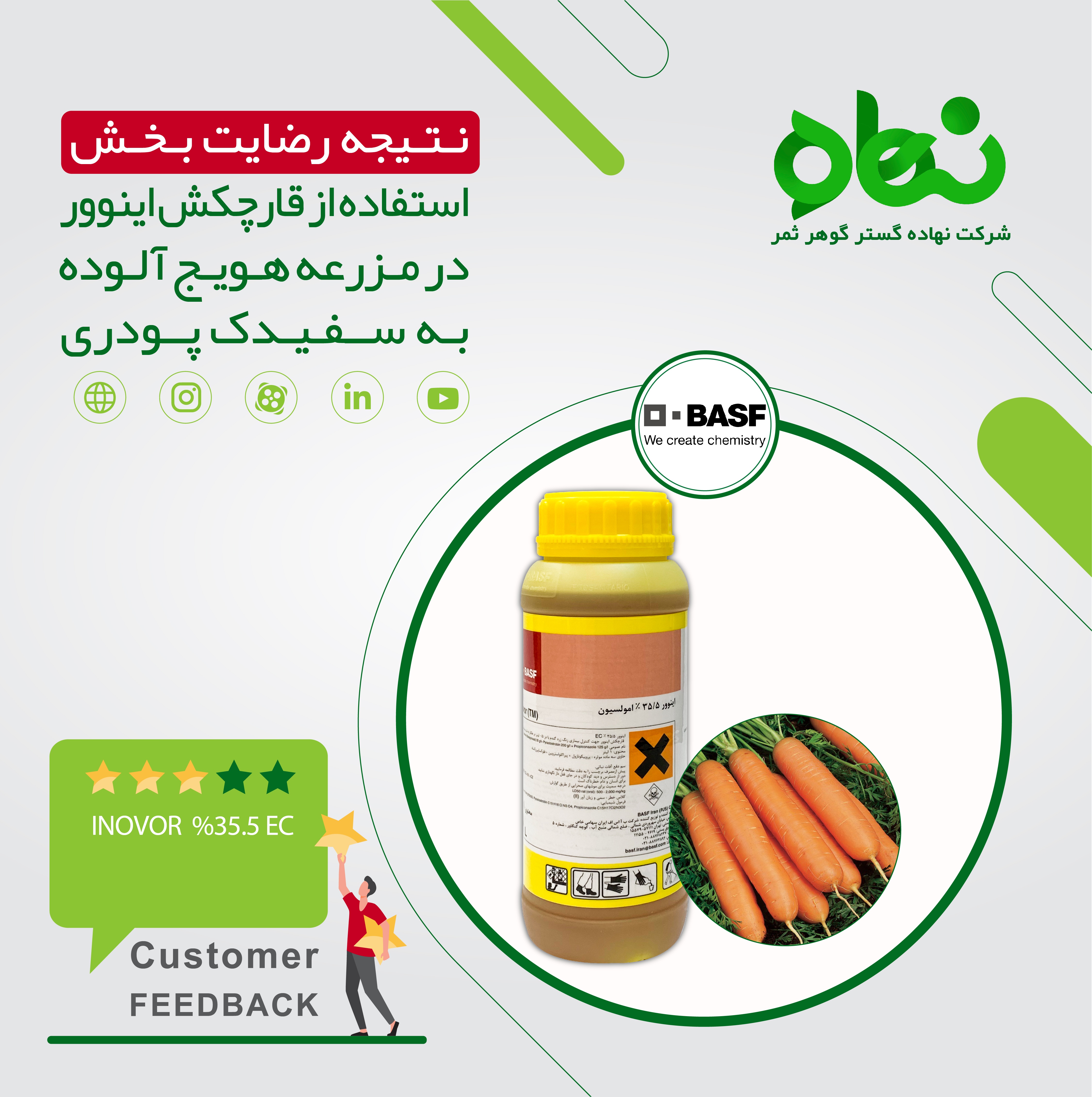 Satisfactory result of using Inovor fungicide in carrot field